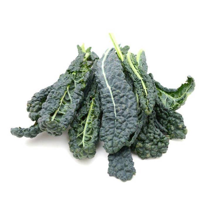 Bentley Seed Co. - Wholesale Plant Seeds - Kale, Lacinato Seed Packets2