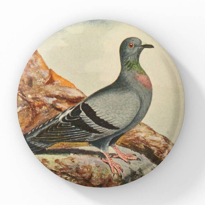 Rock Dove Pin, Rock Dove Keychain, Rock Dove Magnet for wholesale by NatureCuts