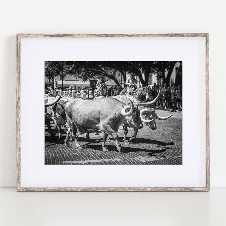 Lisa Russo Fine Art - Wholesale Art Print - Fort Worth Herd | Longhorn Cattle Drive in Black and White5