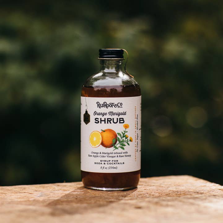 Red Root & Co – wholesale Cocktailmix/-sockerlag – Orange Ringblomma buske