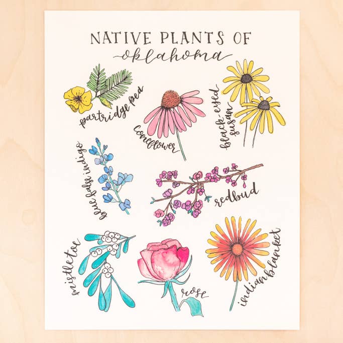 Kallos Ink - Wholesale Art Print - Native Plants of Oklahoma 8x10 Print0