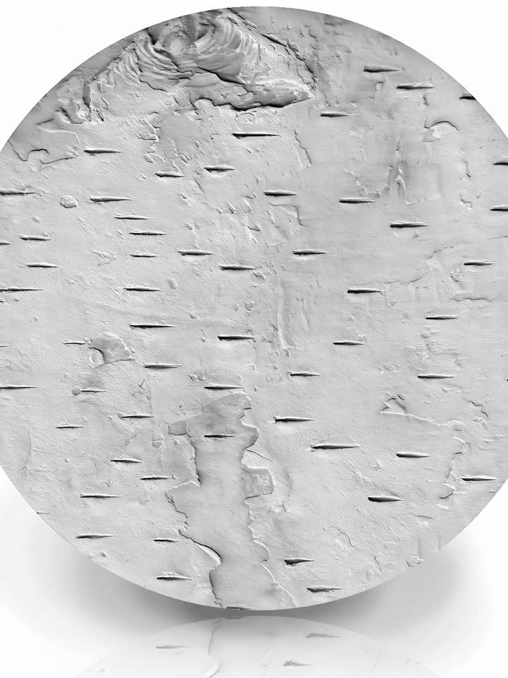 Birch Bark Drink Coasters for wholesale by McCarter Coasters