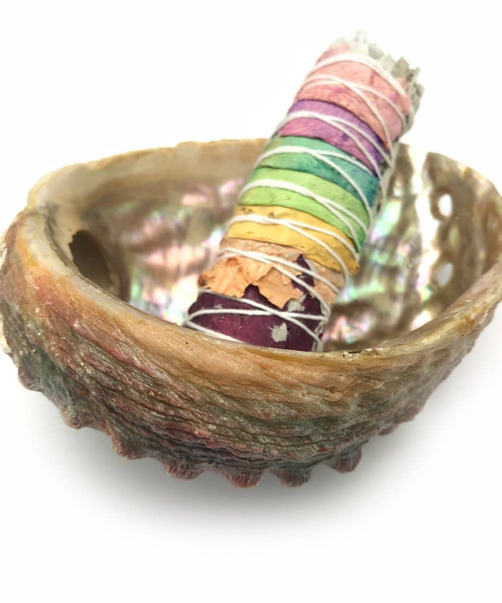 The Deva Shop - Wholesale Smudge Plate - Abalone Shell for Smudging- 2 Sizes to Choose From3