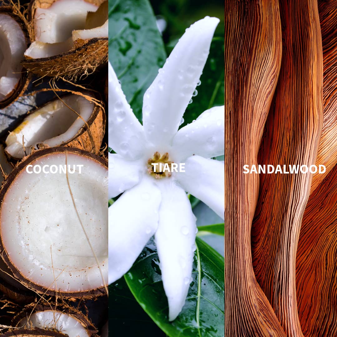 FiiLiT Parfum du voyage - Wholesale Perfume/Eau de Toilette - TEHANI POLYNESIA Eau de Parfum9