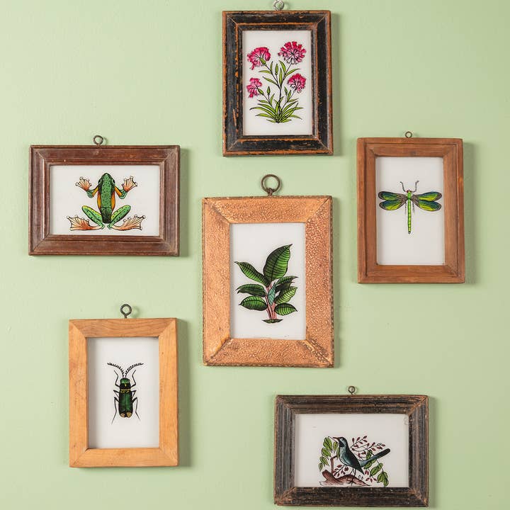 Ian Snow Ltd - Wholesale Wall Accent - Small Old Wood Frame with Botanical/Wildlife Painting0