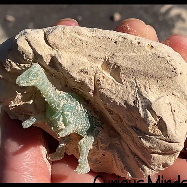 Curious Minds Toys - Wholesale Figurine Toy - Kids - 1 Dinosaur Fossil Excavation Dig Eggs - Uncover Dino Fossil