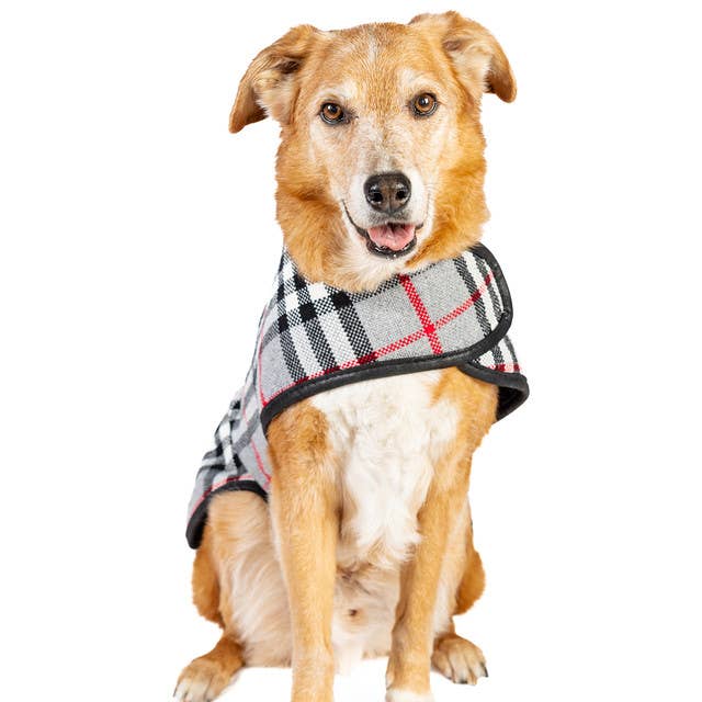 CHILLY DOG LLC - Wholesale Pet Coat - Dog - Steel Tartan Plaid Dog Coat3