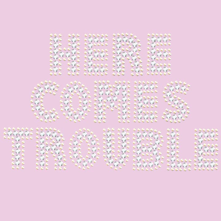 Dog in the Closet - Wholesale Pet Bandana - Dog - Here Comes Trouble Bandanna3