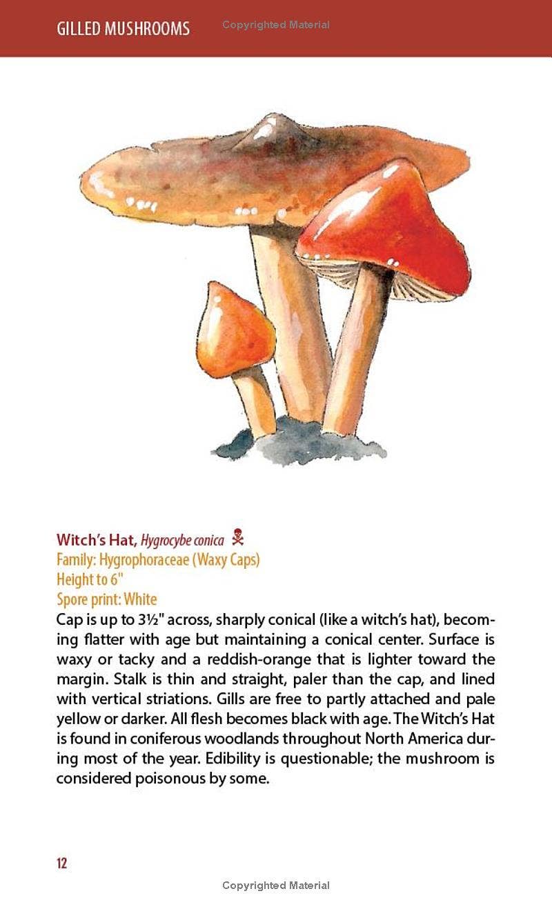 REMOVED BRAND - Wholesale Nature & Outdoors - Mushrooms: A Falcon Field Guide1