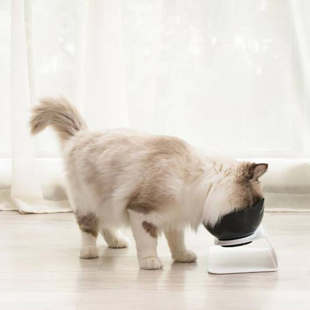 Leo's Paw – Engroshandel Madskål - Kat/hund – Anti-opkastning ortopædisk katteskål5