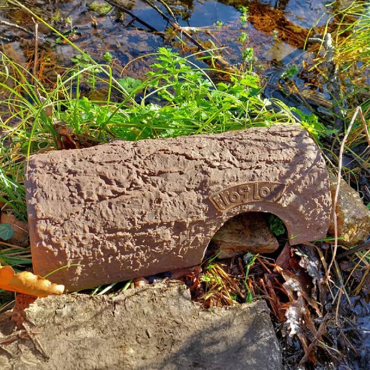 Registro delle rane per la vendita all'ingrosso da parte di Green Feathers