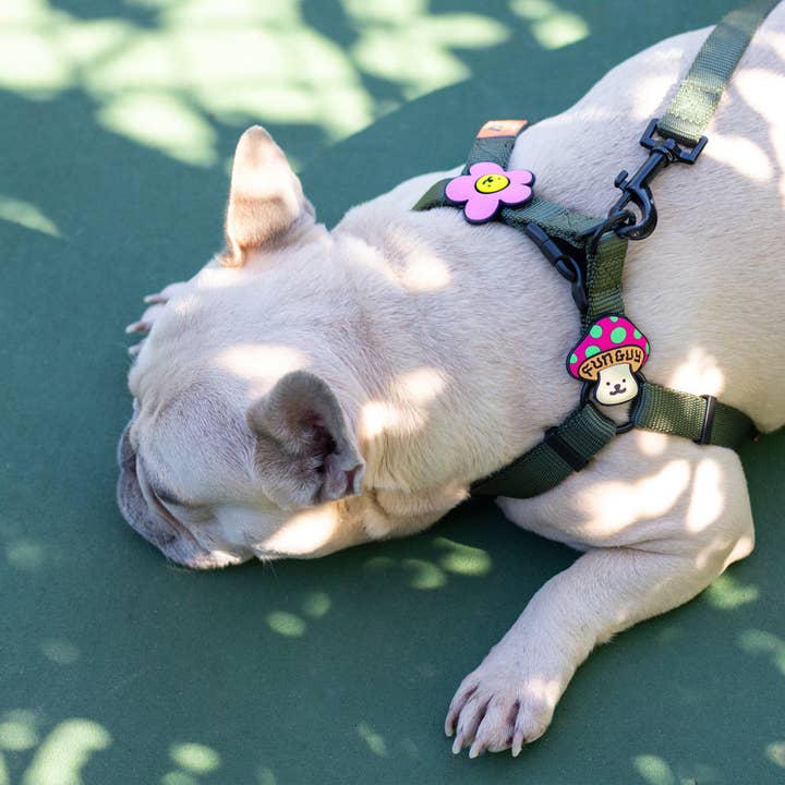Jiby Dog Crew – wholesale Halsbandsberlock - Katt och hund – Rolig Kille Hund Jiby
