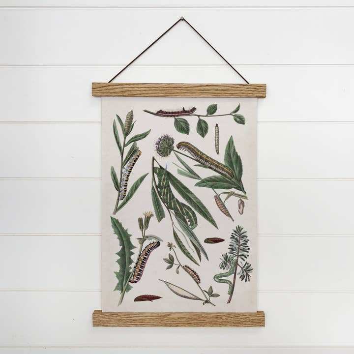 Nature Art Print- Botanical Caterpillars Framed Art Print for wholesale by Hangout Home