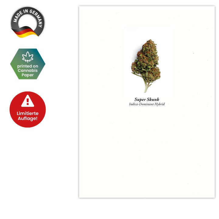 Postkarte A6 "Super Skunk" für den Großhandel von Hanfartig