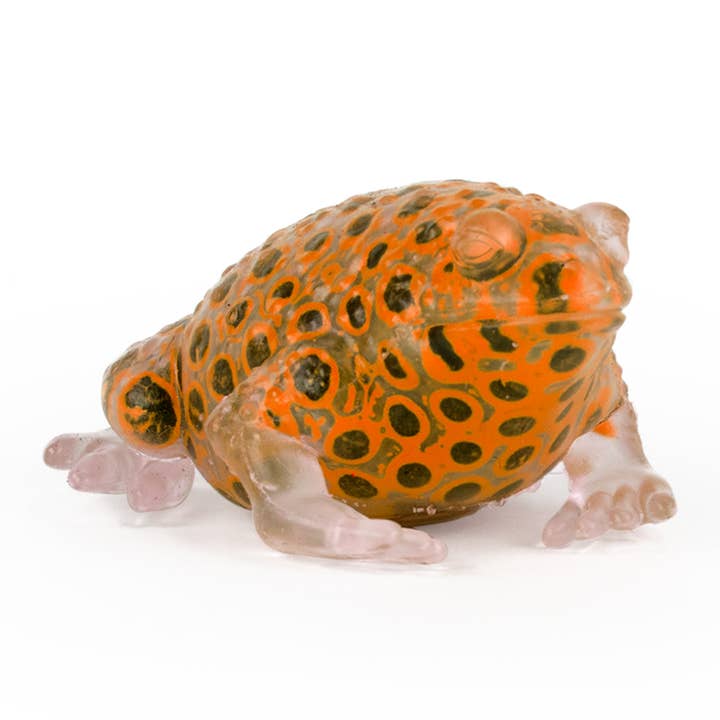 Keycraft - Wholesale Squishy Toy - Kids & Baby - Keycraft Beadz Alive Sensory Frog Toy5