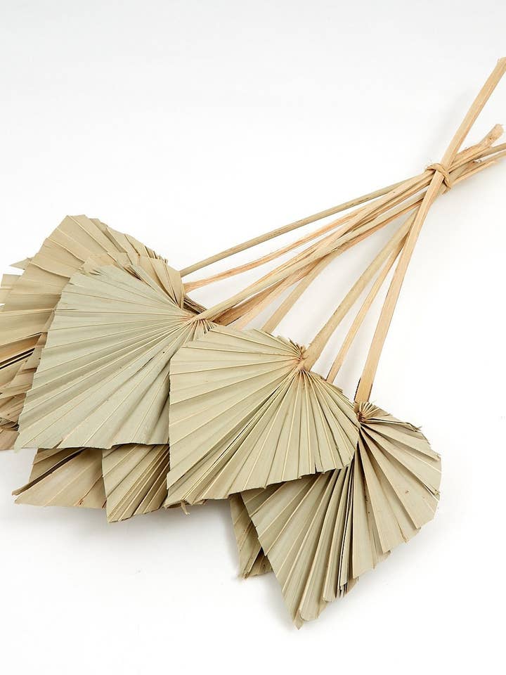Natural Dried Palm Spear Leaves palm leaves /boho decor, dried vase flowers, natural palm leaves , palm decor, palm cake topper/ rustic for wholesale by DemiVi Style