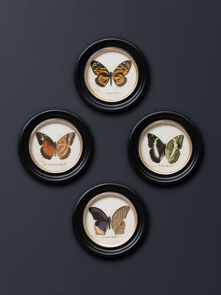 S/4 round colored butterfly frames for wholesale by Chehoma USA