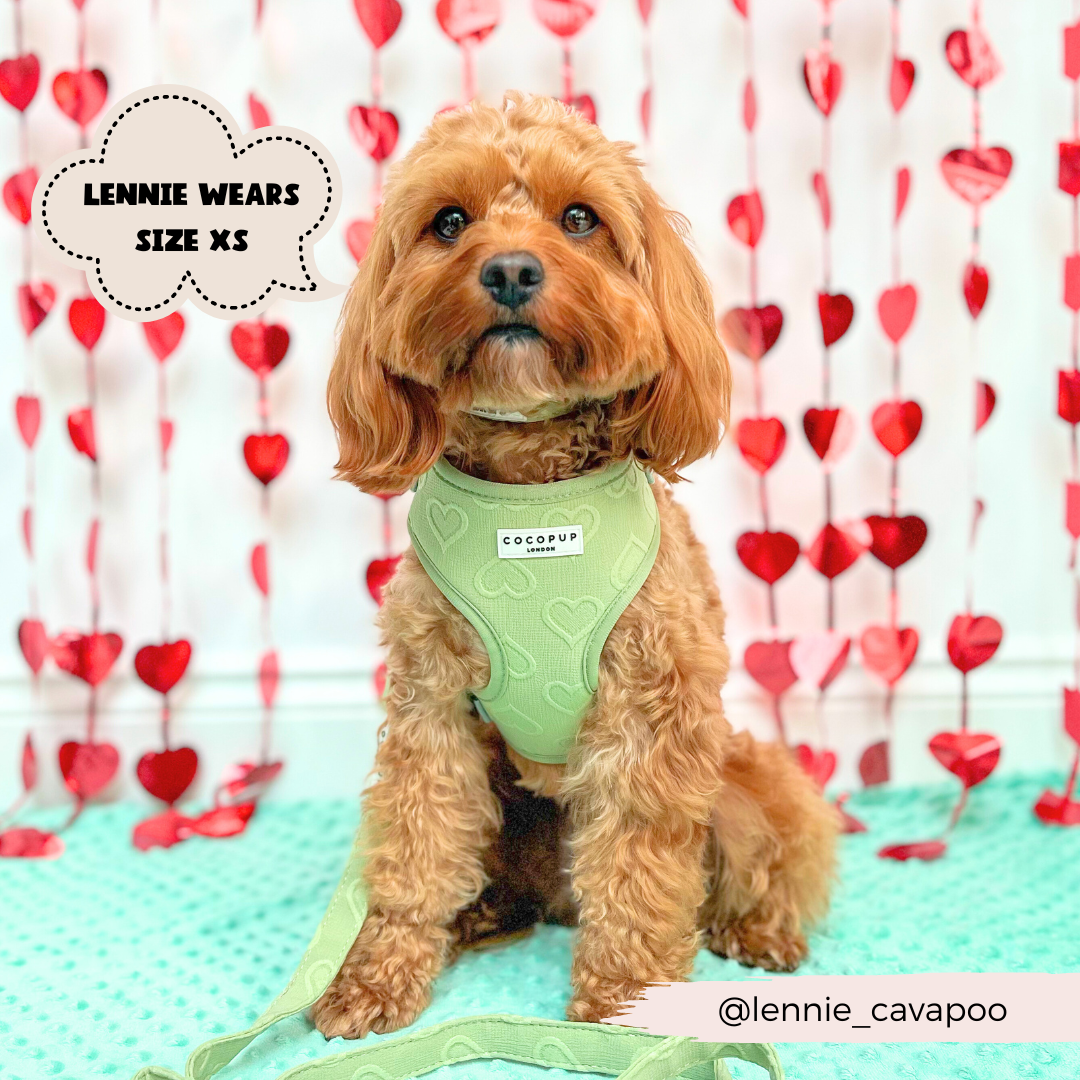 Cocopup London - Wholesale Pet Harness - Dog - Luxe Adjustable Neck Harness - Sage Heart6