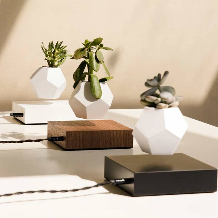 Wooden Amsterdam – wholesale Planteringslåda – LYFE Planter — Leviterande växt - Valnötsträ