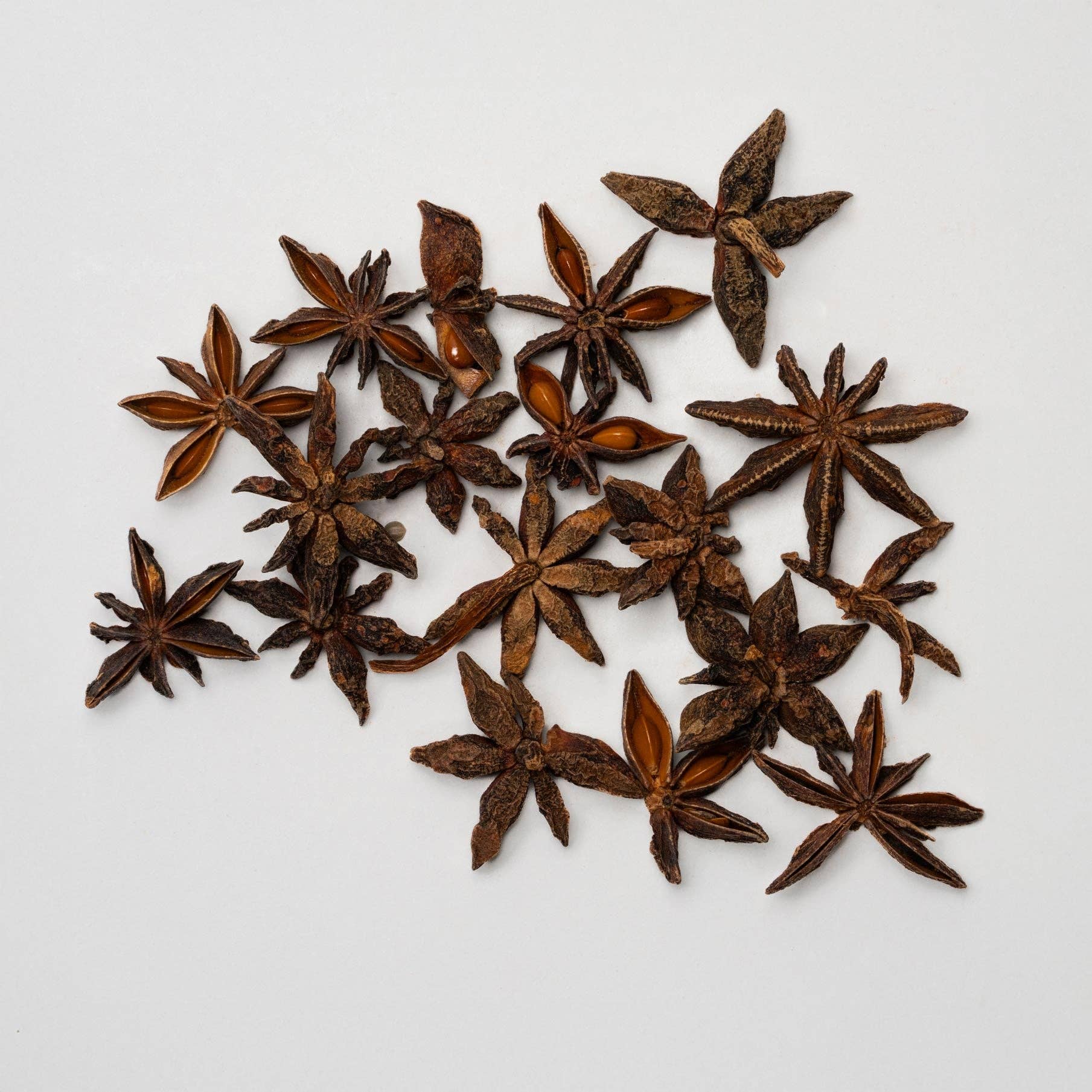 KAICAO - Wholesale Hot Cocoa Mix/Kit - Mexican Spicy Ceremonial Cacao- A Blend of Ceremonial Cacao, Chilis & Spices. Washed Cacao Beans, Tabasco, Mexico9