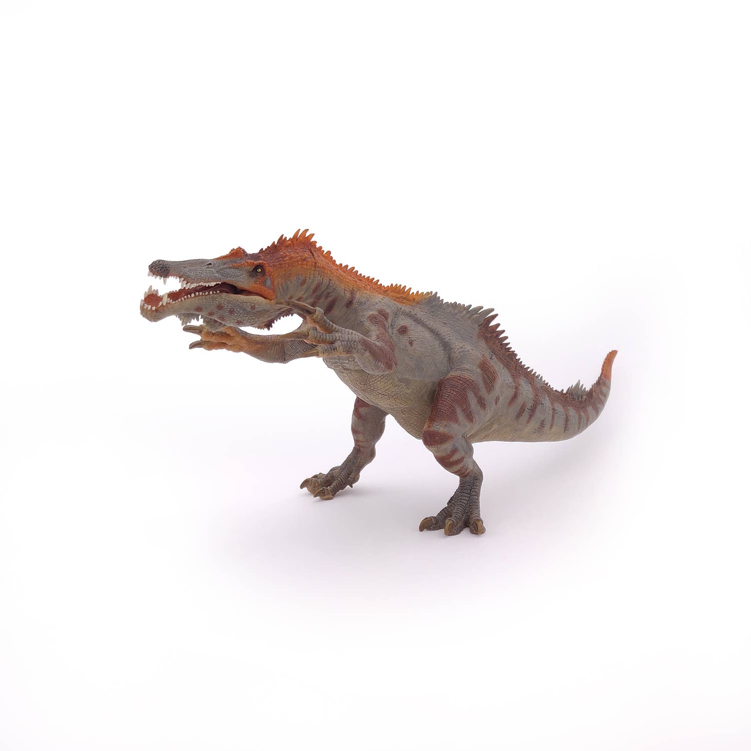 Papo - Wholesale Figurine Toy - Kids - Baryonyx3