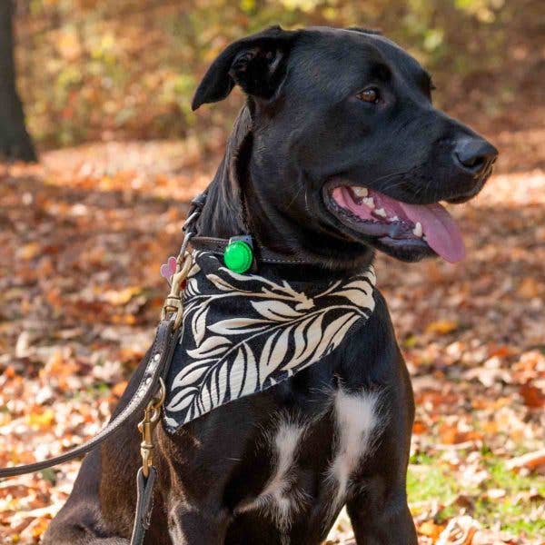 One Bay Distribution - Wholesale Flashlight - Adventure Lights Guardian Dog Light2