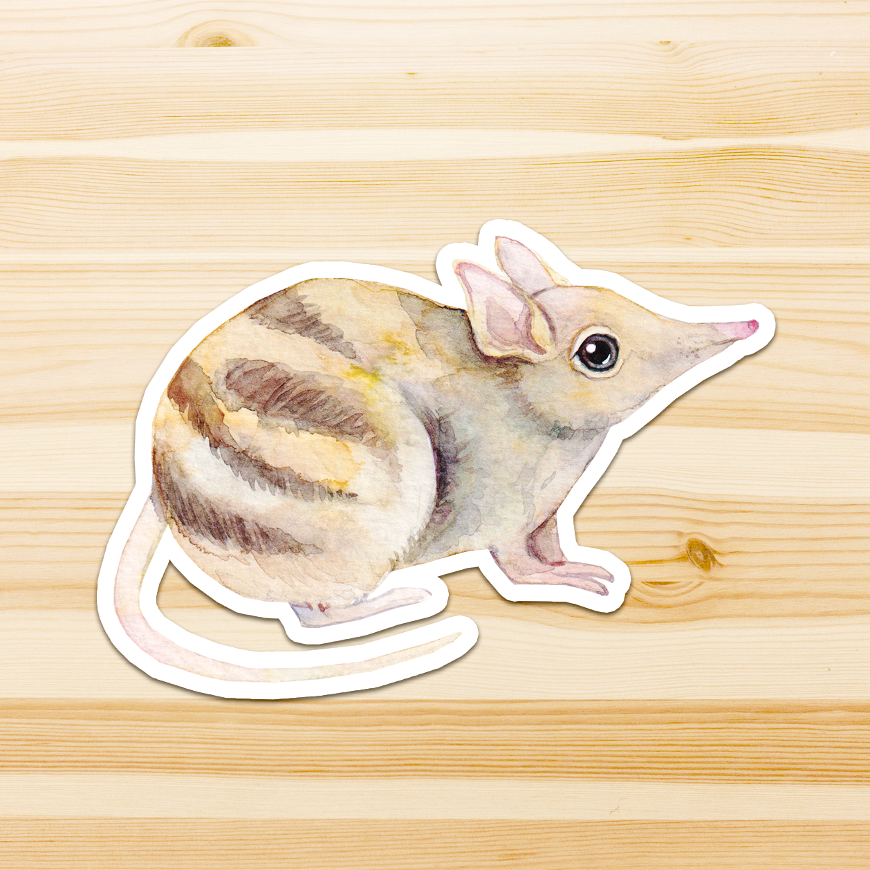 Watercolour By Cat - Wholesale Sticker - Large Australian Animal Vinyl Sticker7