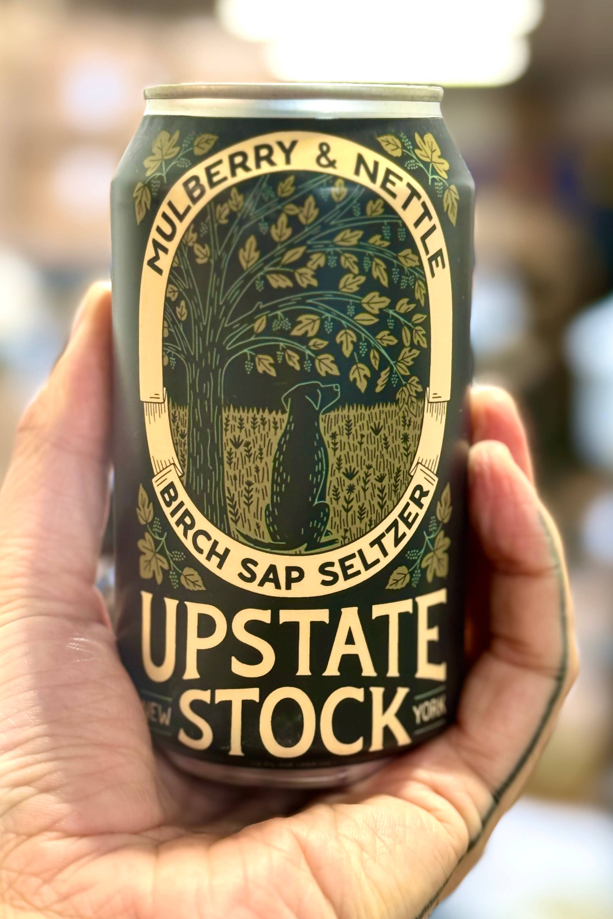 Upstate Stock Seltzers - Vendita all'ingrosso Bibite/bevande gassate - SELTZ ALLA LINFA DI BETULLA, GELSO E ORTICA - Confezione da 123