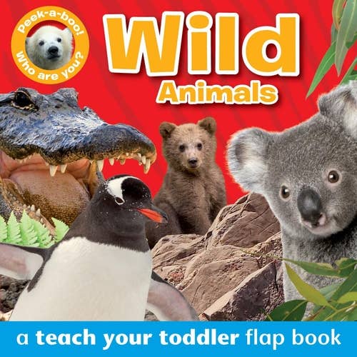 Boon Books - Wholesale Baby & Toddler Book (0-2) - PEEK-A-BOO Wild Animals Toddler Flap Book by Anna Award