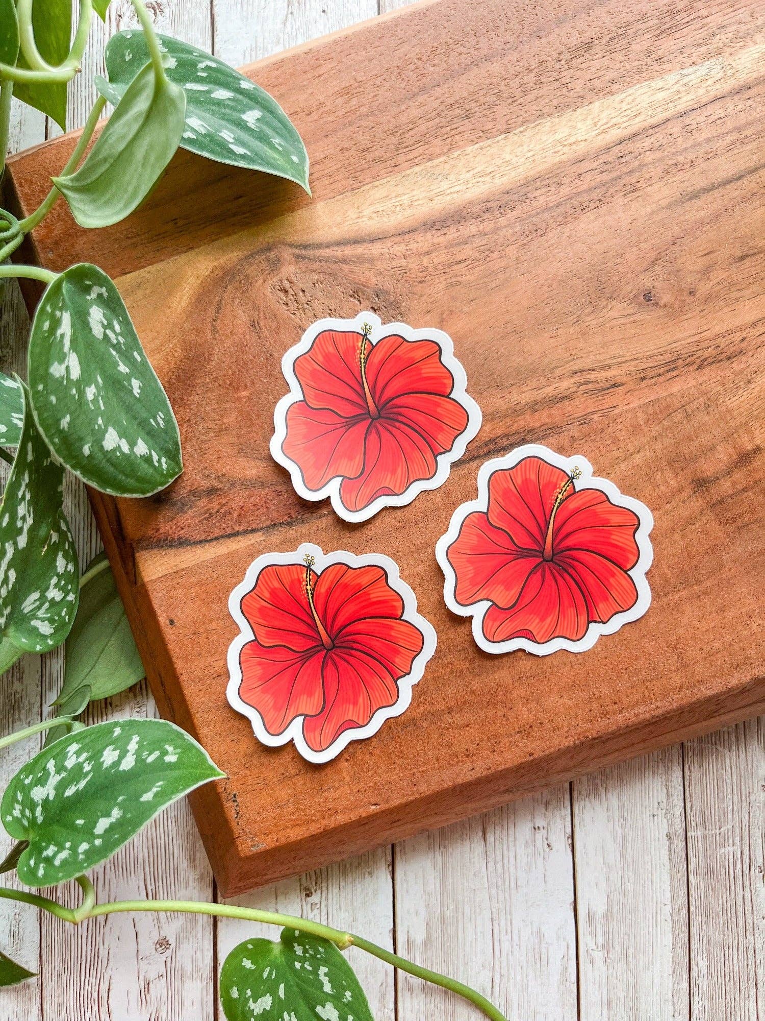 The Nosy Gal - Wholesale Sticker - Flor Cayena Clear Waterproof Sticker2