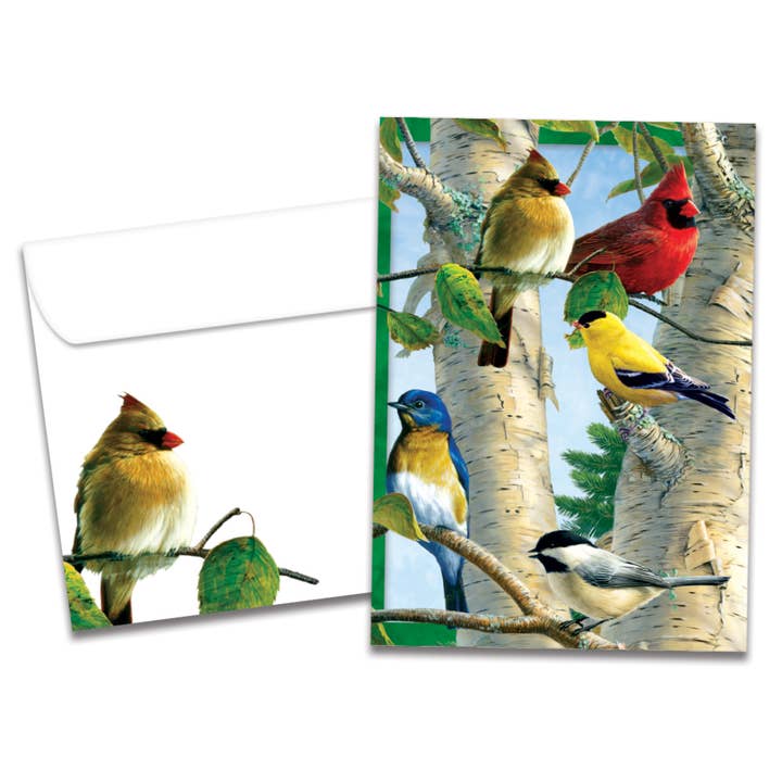 Favorite Songbirds All Occasion 6 Pack 10903 for wholesale by Tree-Free Greetings