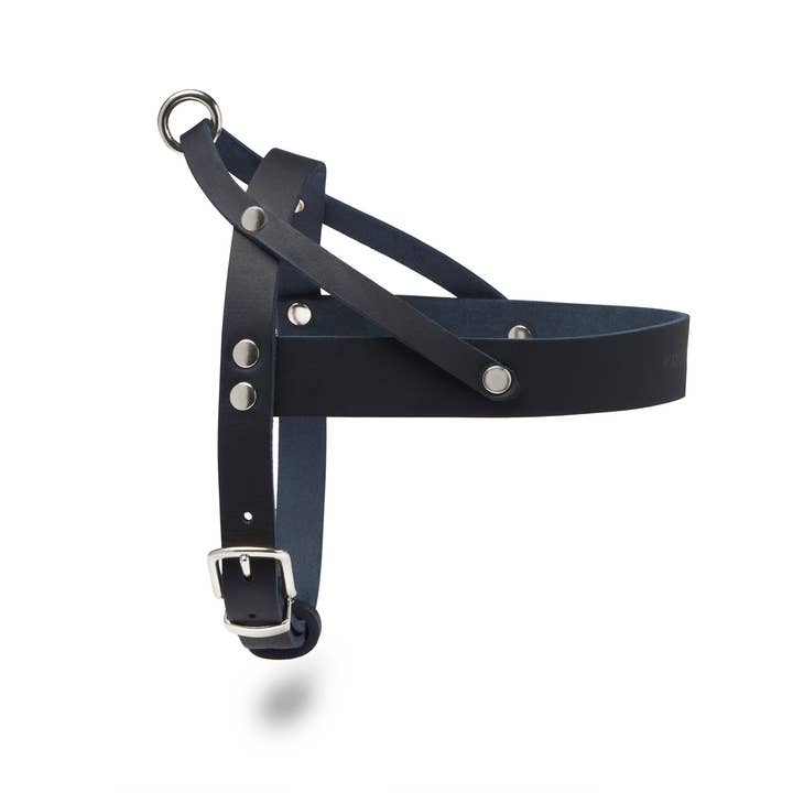 Molly and Stitch - Wholesale Pet Harness - Dog - Butter Leather Dog Harness - Navy Blue7