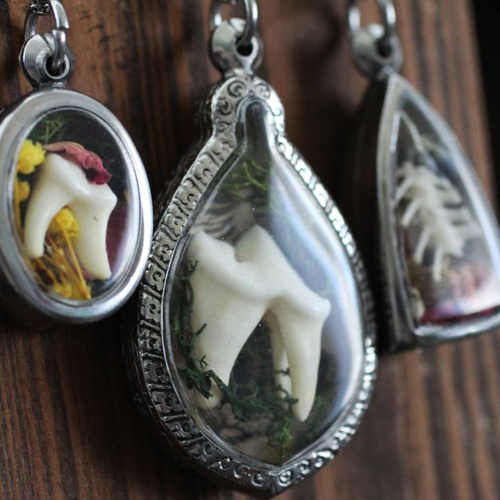 Kitty Bomb Curios - Vendita all'ingrosso Collana con ciondolo/pendaglio - Collane d'ossa strane reliquie finestra dente gioielli collana4