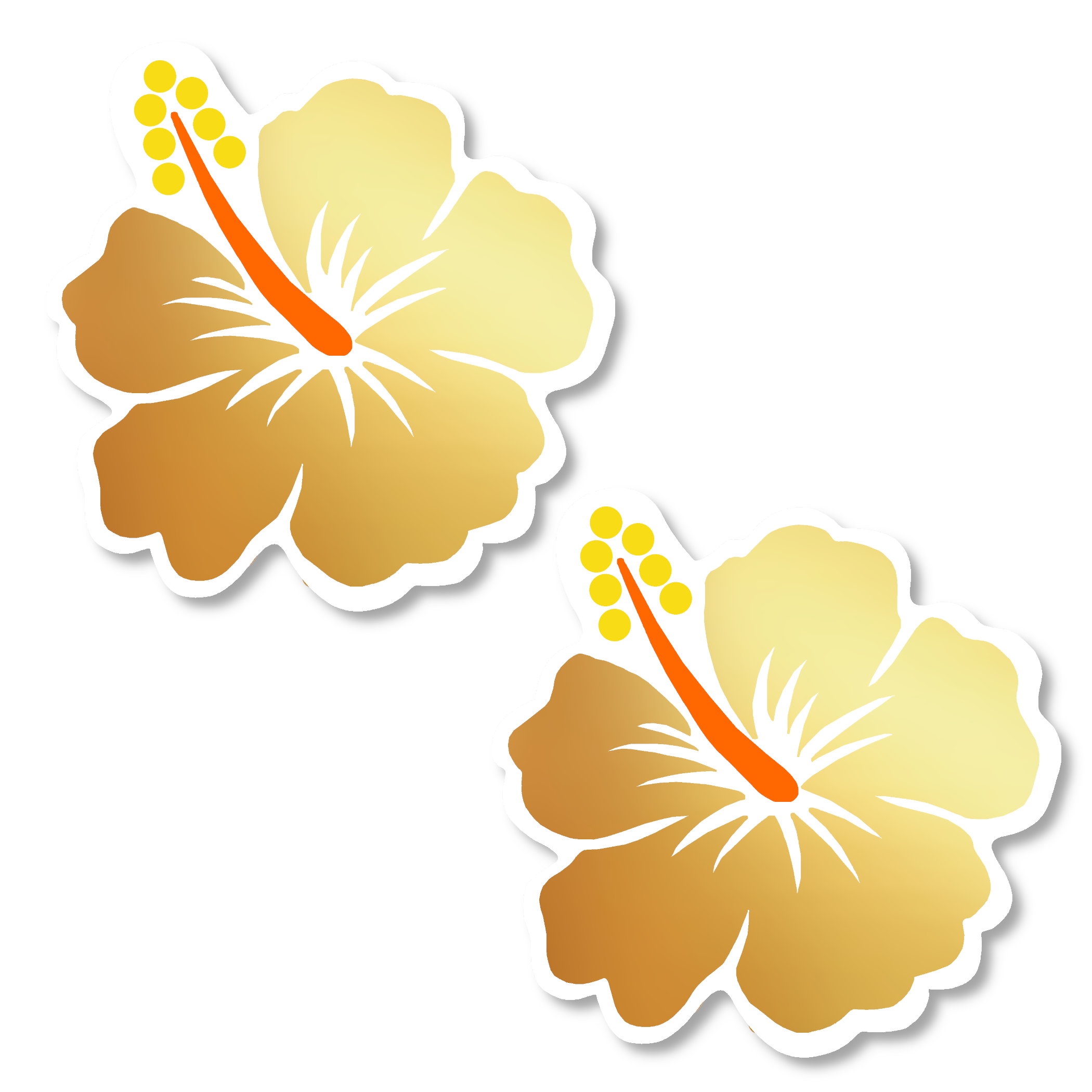 Niptees - Wholesale Nipple Pasties - Women's - Colorful Hibiscus Flower Nipple Cover Pasties 2