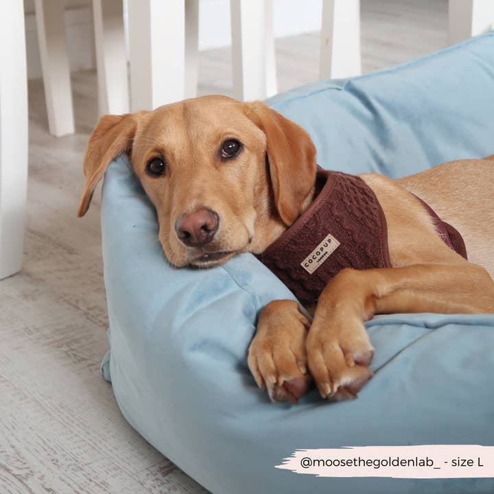Cocopup London - Wholesale Pet Harness - Dog - Cable Knit Jumper Adjustable Neck Harness - Hot Coco