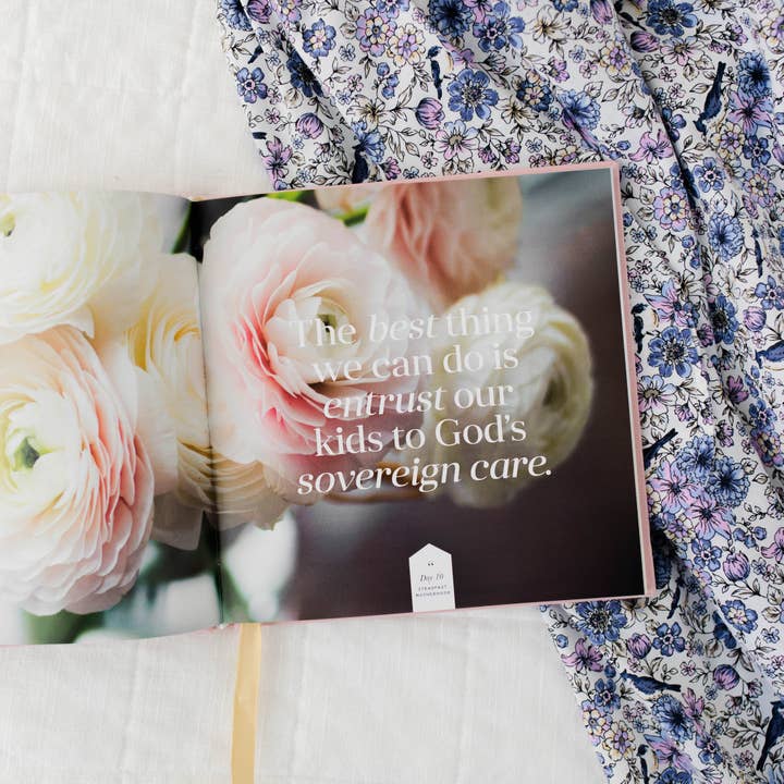 The Daily Grace Co - Wholesale Book - Adult - Steadfast Motherhood | 60 Days of Abiding in Christ