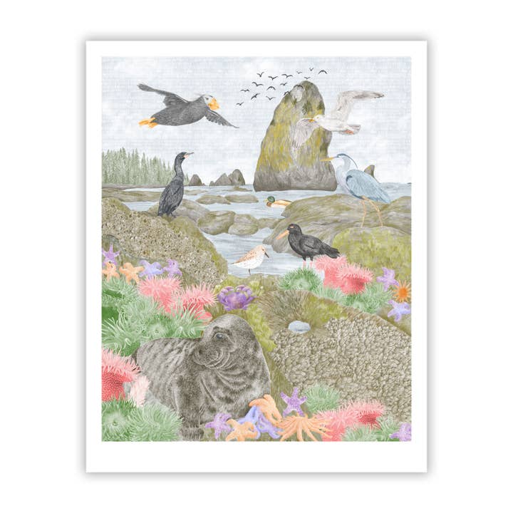 Salish Sea Tide Pools Fine Art Giclee Print for wholesale by Stacy Hsu Design & Illustration