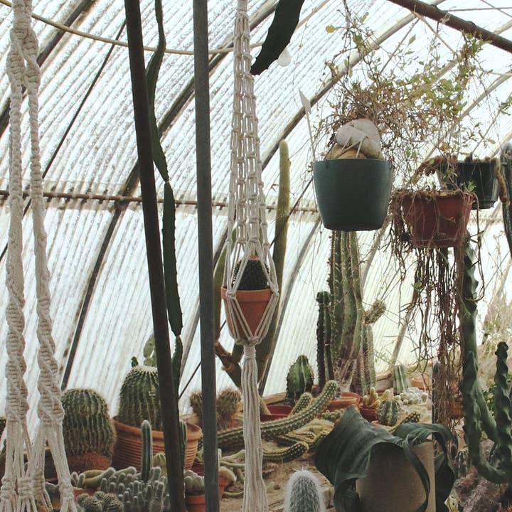 Soul of the Party - Wholesale Hanging Planter - Original Plant Hanger