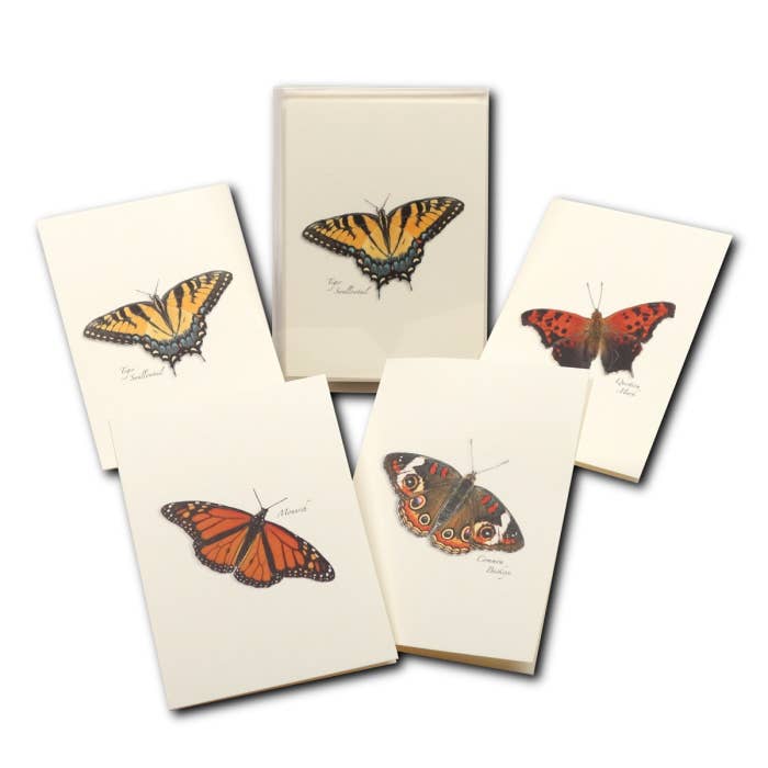 Earth Sky + Water - Wholesale Stationery/Notecard Set - Butterfly Assortment
