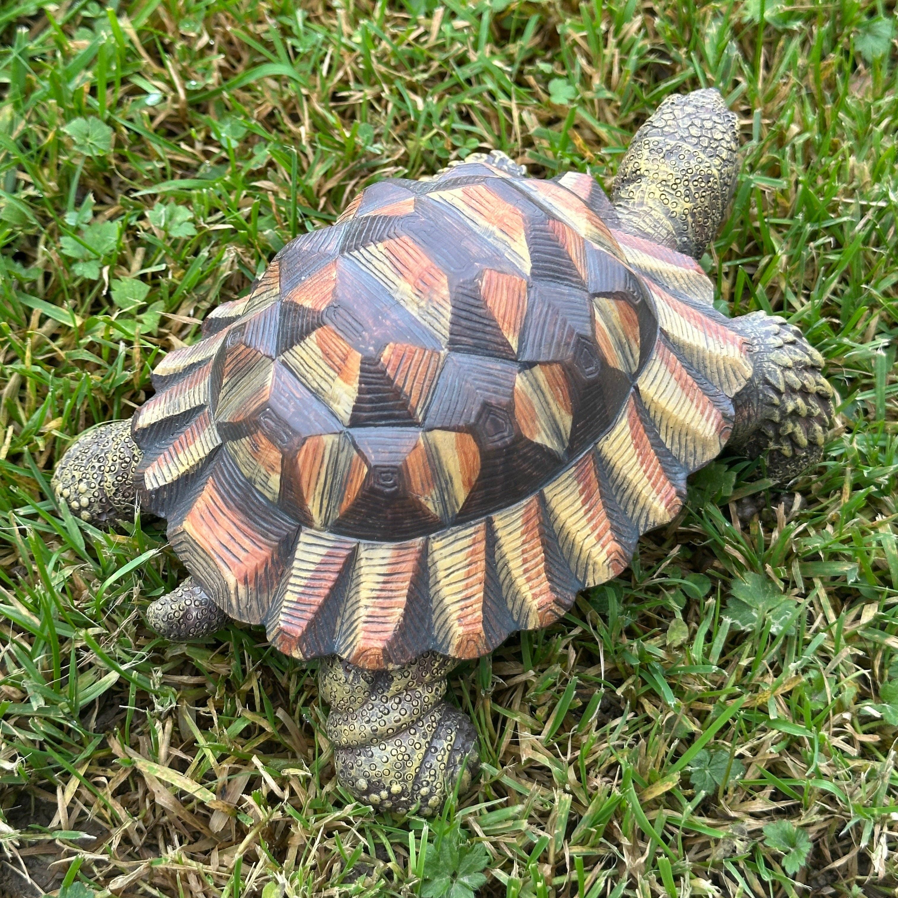 Animal Crackers – wholesale Decorative figurine – Animal Crackers realistic Tortoise figurine, length 20cm, gift boxed4