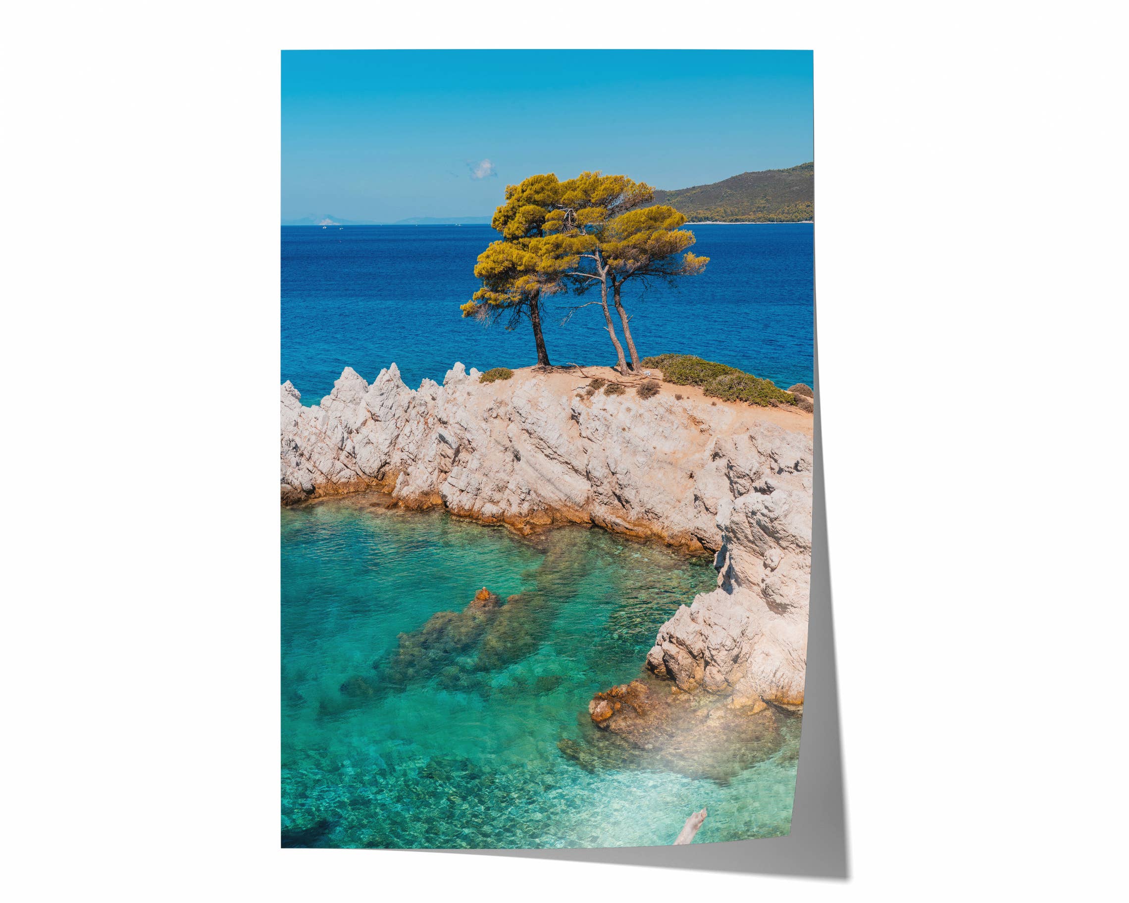 Natasha Riha Photography - Wholesale Photograph - Pine Trees of Skopelos II | Fine Art Photography Print