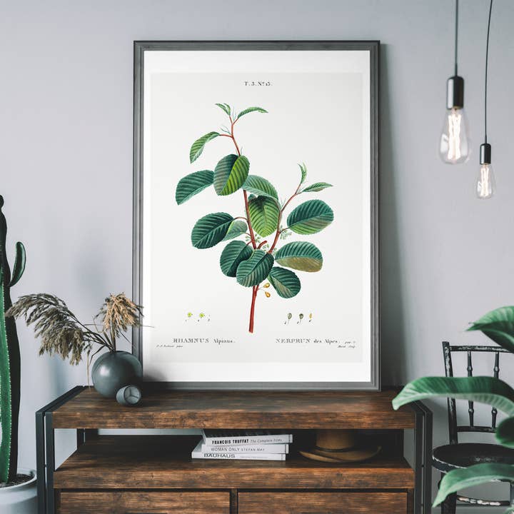 Alpine Sandthorn Vintage Antik-Druck für den Großhandel von Ink & Drop