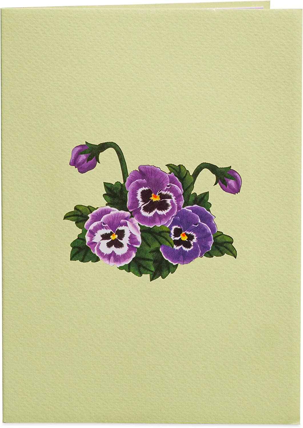 Paper Love - Wholesale Everyday Greeting Card - Morning Glory Pop Up Card2