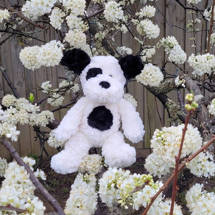 PETITE VOUS - Wholesale Stuffed/plush toy – Kids & baby - Petite Vous Harry the Dog Soft Toy2