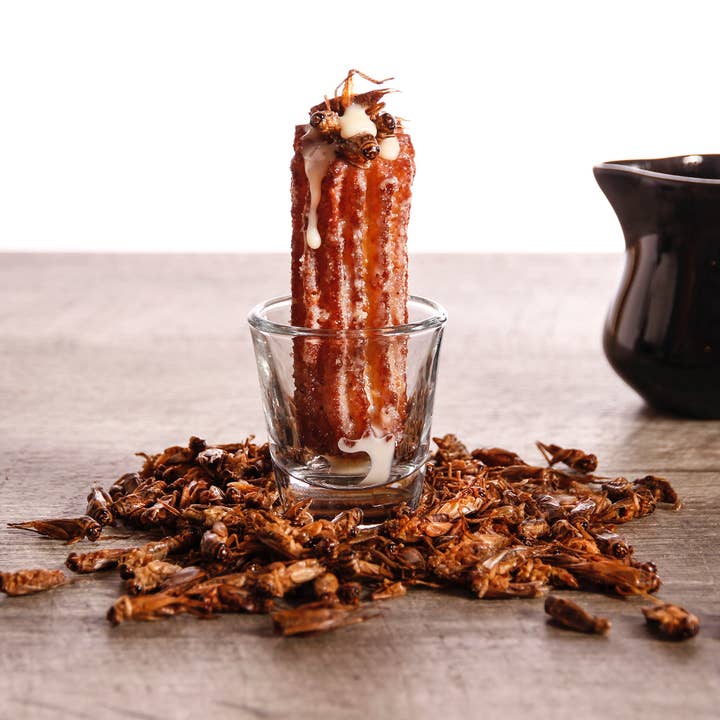 San Diablo Artisan Churros - Wholesale Dried spice mix - Specialty Topping: Roasted Crickets1