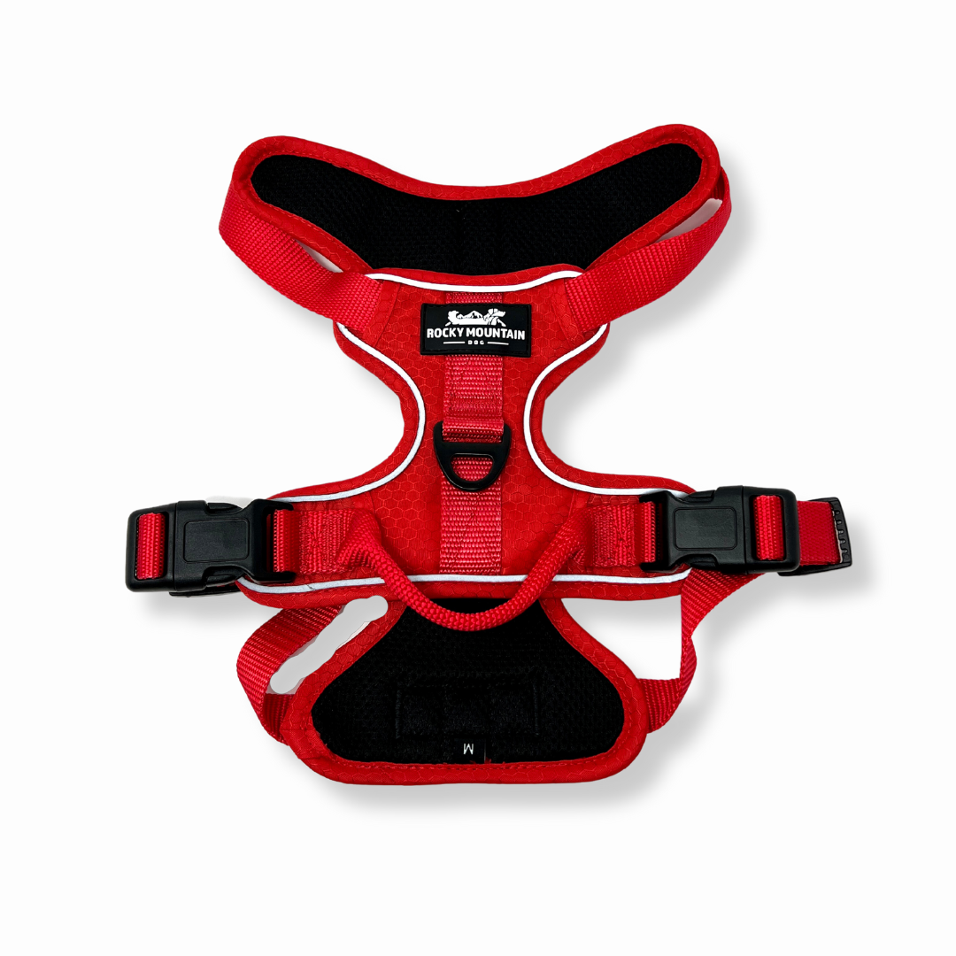 Rocky Mountain Dog - Wholesale Pet Harness - Dog - All-Terrain Dog Harness – Summit, No-Pull7