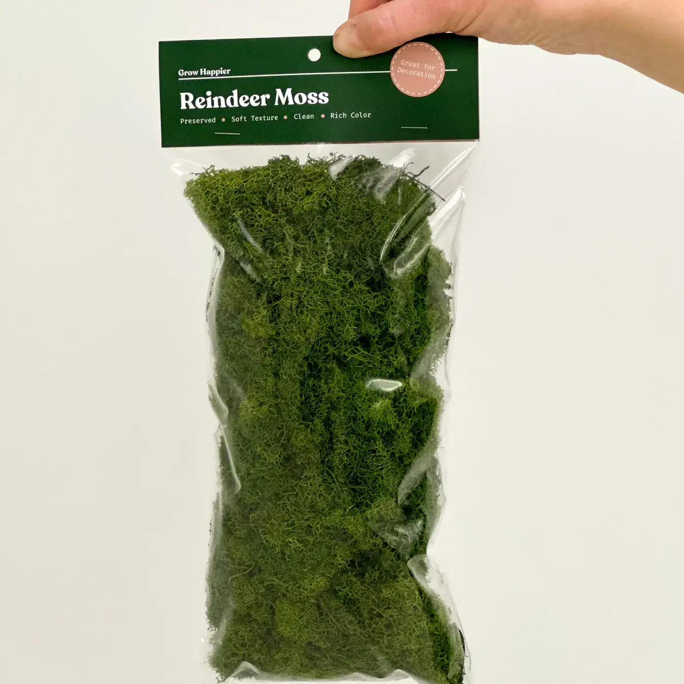 The Plant Supply - Wholesale Planting/Potting Soil - Preserved Reindeer Moss | Moss for Plants and Crafts3