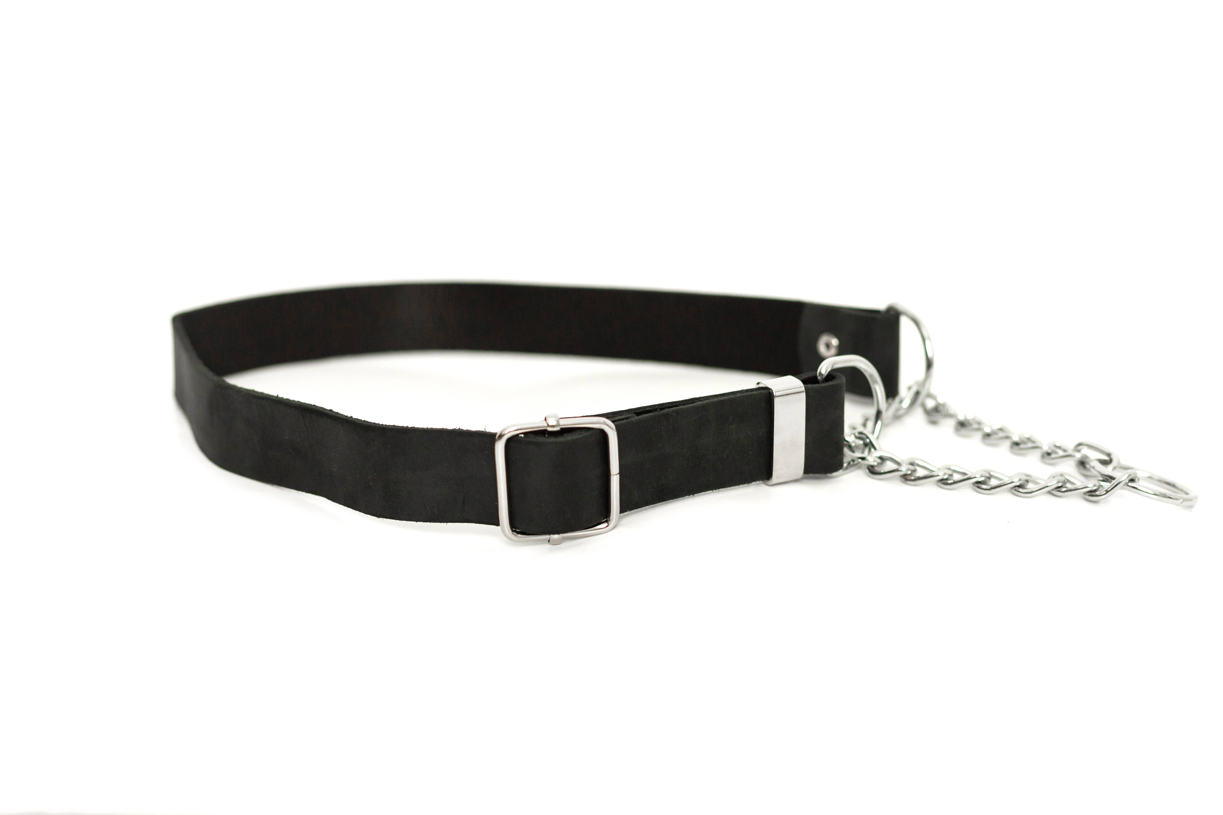Euro-Dog Collars and Leads - Wholesale Pet Collar - Dog - Leather Dog Collar Martingale Soft Modern Style3