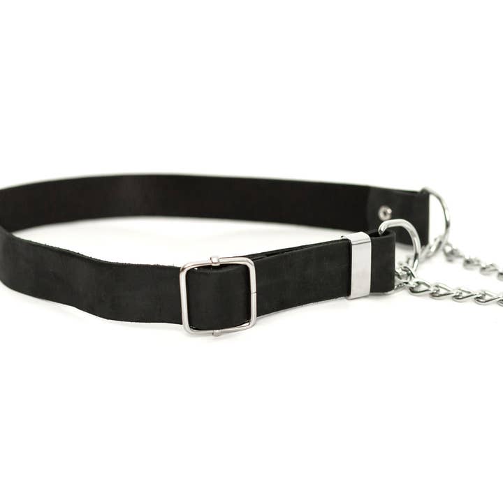 Euro-Dog Collars and Leads - Wholesale Pet Collar - Dog - Leather Dog Collar Martingale Soft Modern Style3