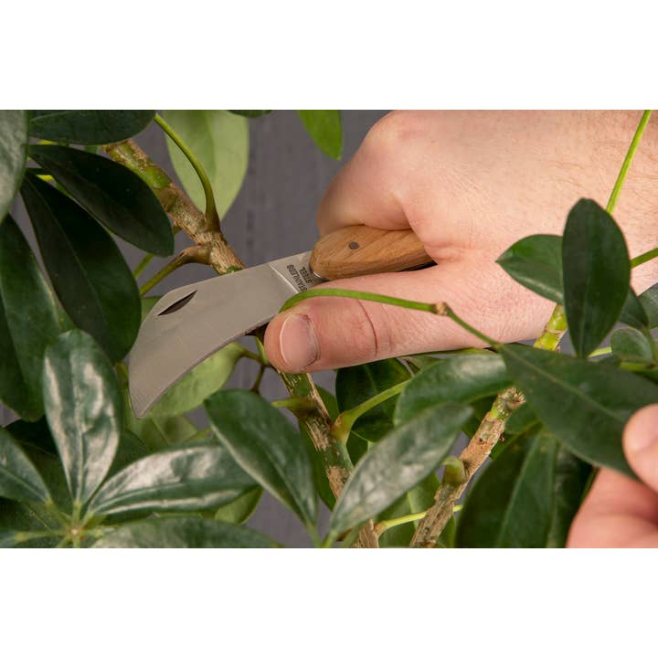 Fallen Fruits Ltd – wholesale Garden tool – GT234 - Giftset Garden Pruning Tools1